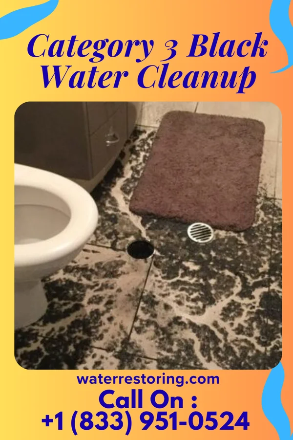 Category 3 Black Water Cleanup in Stephenville, TX