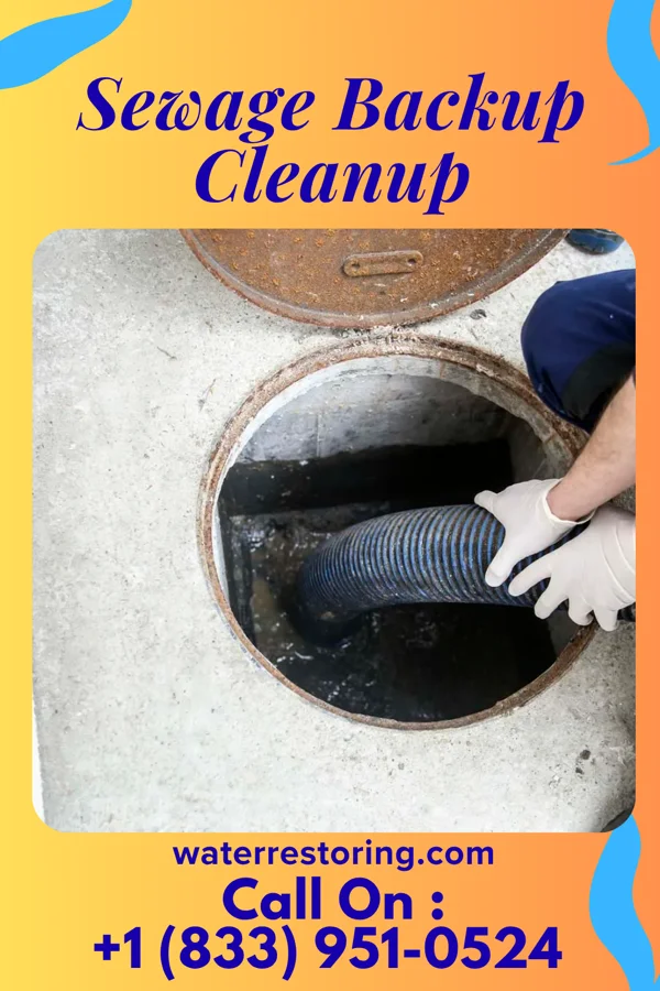 Sewage Backup Cleanup in Stephenville, TX
