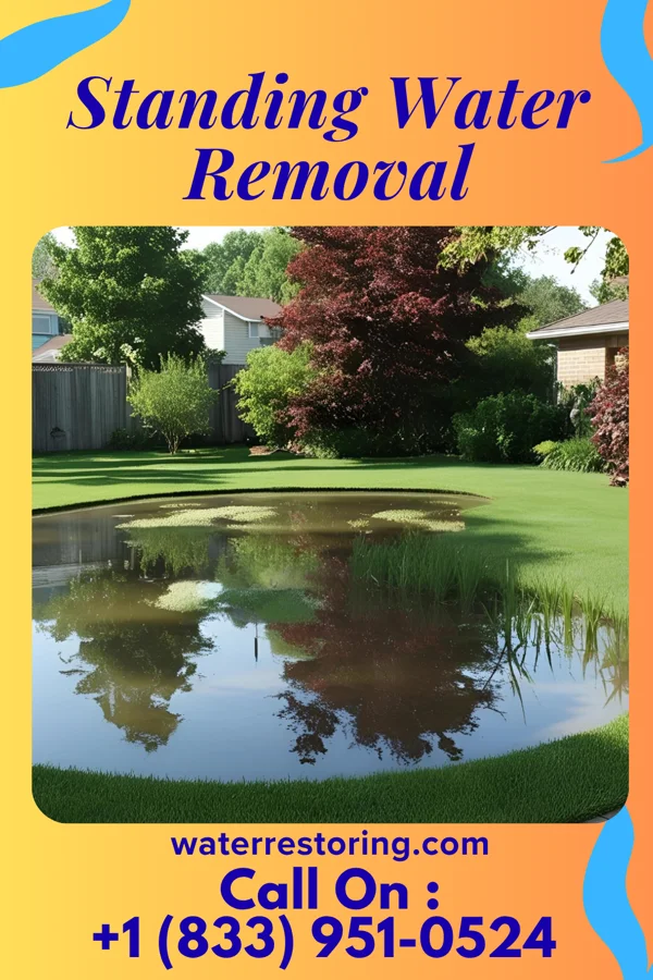 Standing Water Removal in Stephenville, TX